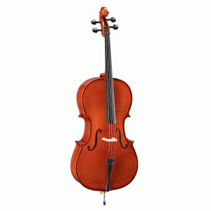 VIOLONCELLI