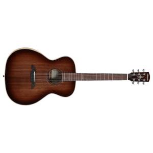 Chitarra acustica ALVAREZ AGW77AR