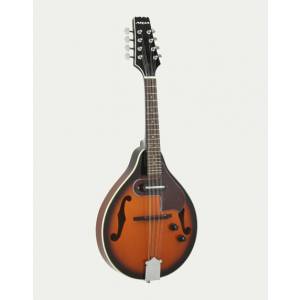 Mandolino elettrificato ARIA am20e bs