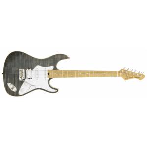 Chitarra elettrica ARIA HRC-714-MK2-BKDM Pro II