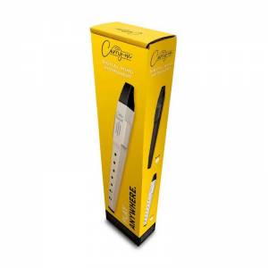 Flauto digitale carry on Digital Wind