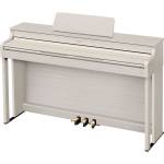 CASIO CELVIANO AP-300GB