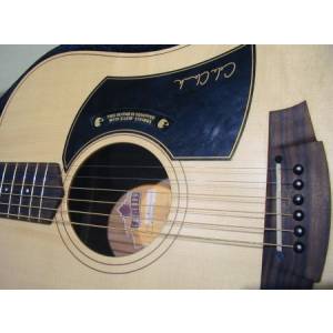 CHITARRA FOLK COLE CLARK FAT LADY 1