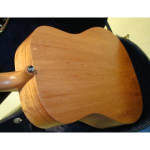 CHITARRA FOLK COLE CLARK FAT LADY 1