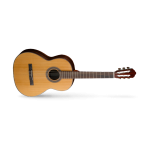 CORT AC250DX