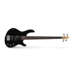 CORT ACTION BASS PJ OPB