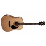 CORT AD810 W/BAG