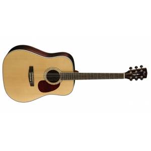 Chitarra acustica CORT EARTH 100 RW