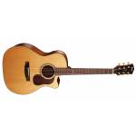 CORT Gold A6