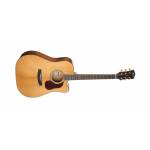 CORT Gold DC6