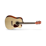 CORT MR500E