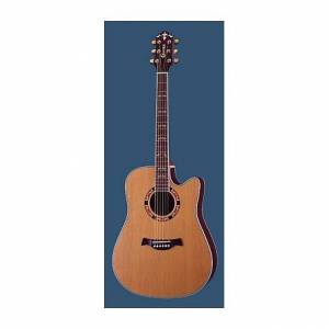 CHITARRA CRAFTER DE18 CD N