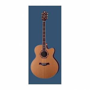 CHITARRA CRAFTER JE18 CD\N