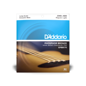 Corde per basso acustico D'ADDARIO EPBB170