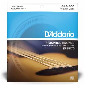 Corde per basso acustico D'ADDARIO EPBB170