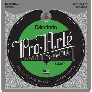  D'ADDARIO