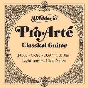  D'ADDARIO