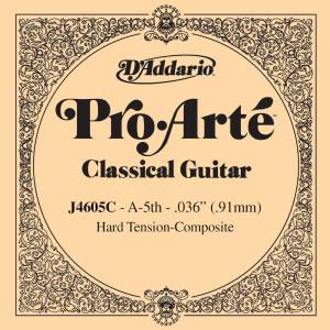  D'ADDARIO