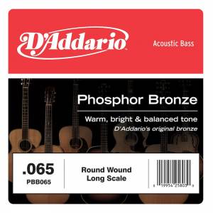  D'ADDARIO