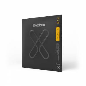  D'ADDARIO