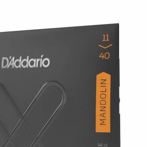  D'ADDARIO