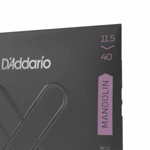  D'ADDARIO