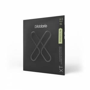  D'ADDARIO