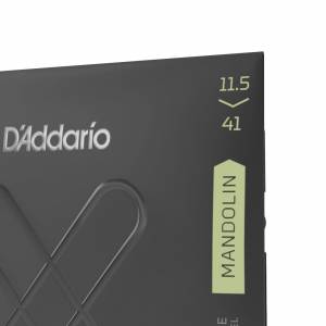  D'ADDARIO