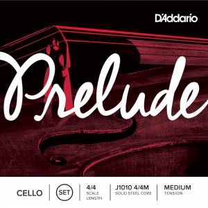  D'ADDARIO