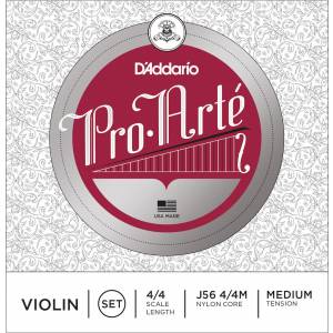  D'ADDARIO