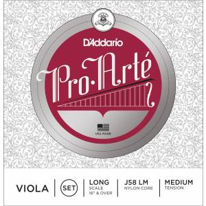  D'ADDARIO