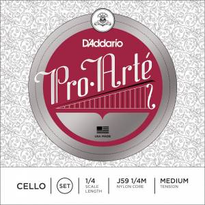  D'ADDARIO