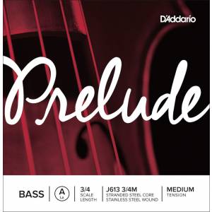  D'ADDARIO