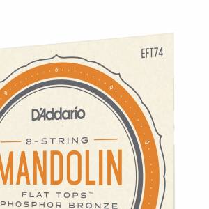  D'ADDARIO