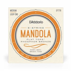  D'ADDARIO