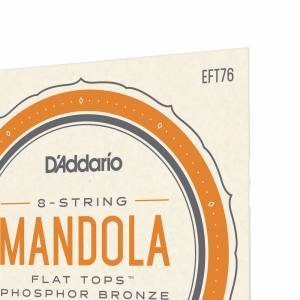  D'ADDARIO