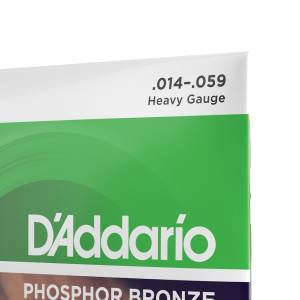  D'ADDARIO