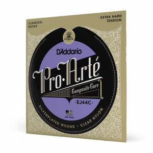  D'ADDARIO