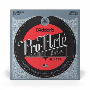  D'ADDARIO