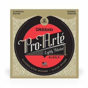  D'ADDARIO