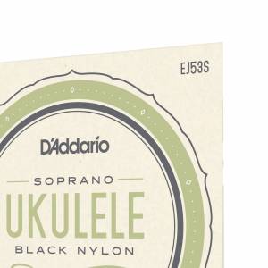  D'ADDARIO