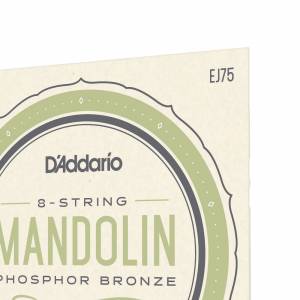  D'ADDARIO