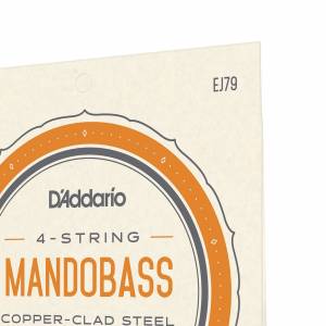  D'ADDARIO