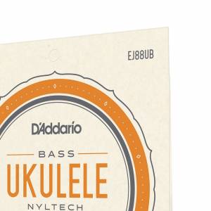  D'ADDARIO