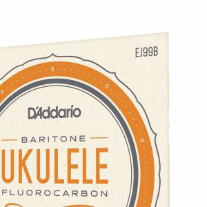  D'ADDARIO