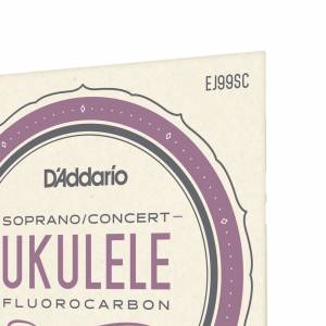  D'ADDARIO