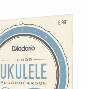  D'ADDARIO