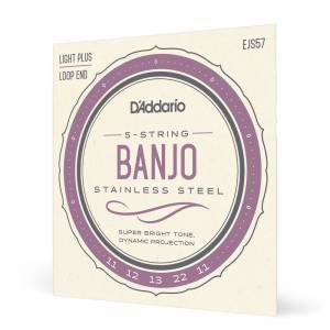  D'ADDARIO