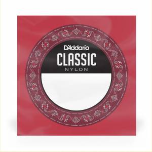  D'ADDARIO