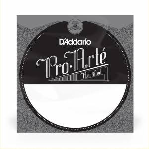  D'ADDARIO